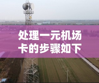 处理一元机场卡的步骤如下