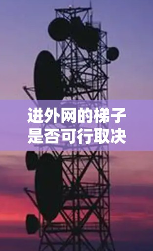 进外网的梯子是否可行取决于多方面因素，包括梯子的设计、材质、连接方式、外网的配置、环境因素、维护和清洁，以及是否有专业支持。以下是一些关键点