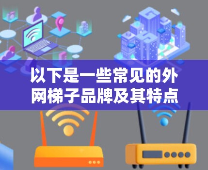 以下是一些常见的外网梯子品牌及其特点 以下是一些常见的外网梯子品牌及其特点