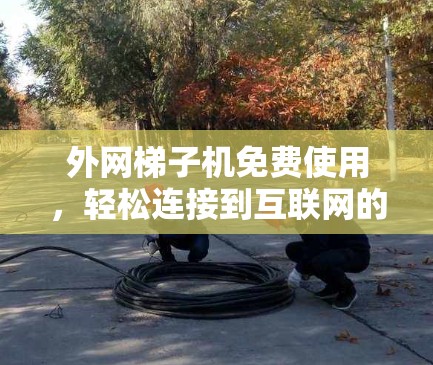 外网梯子机免费使用,轻松连接到互联网的高效解决方案 外网梯子机免费使用,轻松连接到互联网的高效解决方案