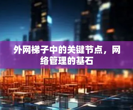 外网梯子中的关键节点,网络管理的基石 外网梯子中的关键节点,网络管理的基石