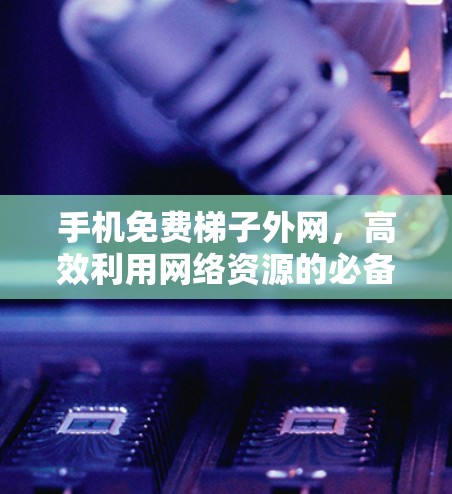 手机免费梯子外网,高效利用网络资源的必备指南 手机免费梯子外网,高效利用网络资源的必备指南
