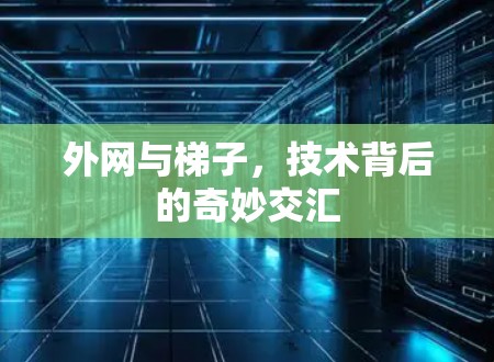 外网与梯子,技术背后的奇妙交汇 外网与梯子,技术背后的奇妙交汇