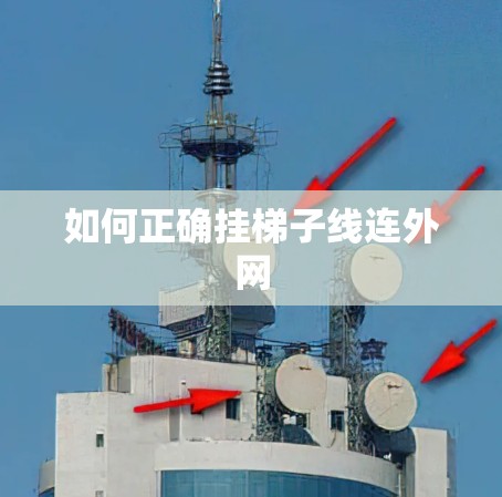 如何正确挂梯子线连外网 如何正确挂梯子线连外网