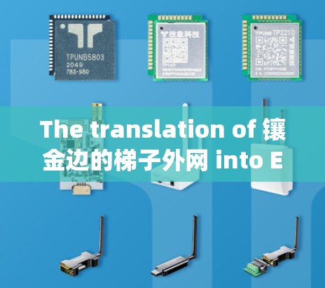 The translation of 镶金边的梯子外网 into English is: The translation of 镶金边的梯子外网 into English is: