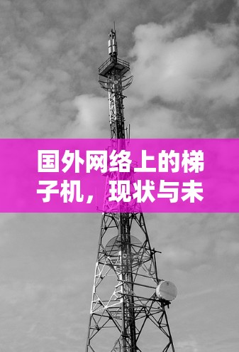 国外网络上的梯子机,现状与未来展望 国外网络上的梯子机,现状与未来展望