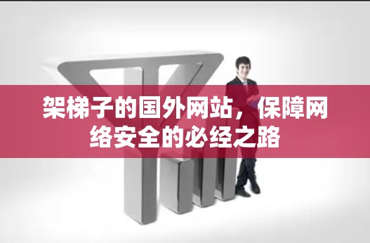 架梯子的国外网站,保障网络安全的必经之路 架梯子的国外网站,保障网络安全的必经之路