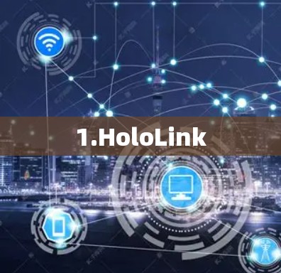 1.HoloLink 1.HoloLink