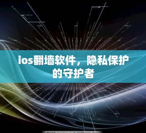 ios翻墙软件,隐私保护的守护者 ios翻墙软件,隐私保护的守护者