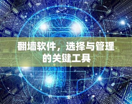 翻墙软件，选择与管理的关键工具