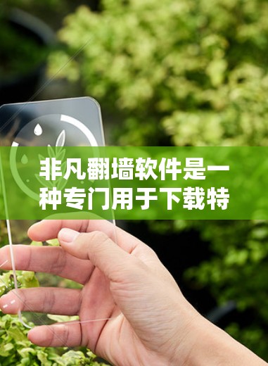 非凡翻墙软件是一种专门用于下载特定内容的工具，它可能具有下载特定网站、视频或文件的功能。以下是对非凡翻墙软件的详细分析
