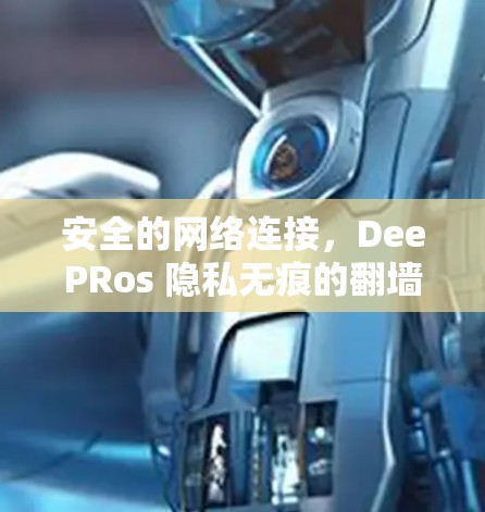 安全的网络连接,DeePRos 隐私无痕的翻墙软件 安全的网络连接,DeePRos 隐私无痕的翻墙软件