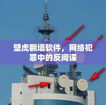 壁虎翻墙软件,网络犯罪中的反间谍 壁虎翻墙软件,网络犯罪中的反间谍