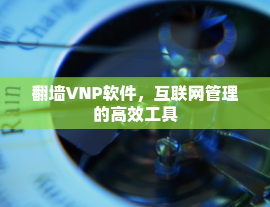 翻墙VNP软件,互联网管理的高效工具 翻墙VNP软件,互联网管理的高效工具