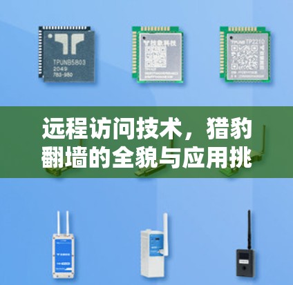 远程访问技术,猎豹翻墙的全貌与应用挑战 远程访问技术,猎豹翻墙的全貌与应用挑战