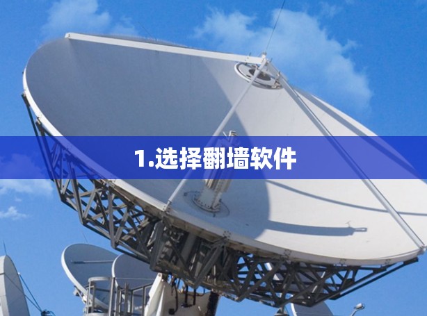 1.选择翻墙软件