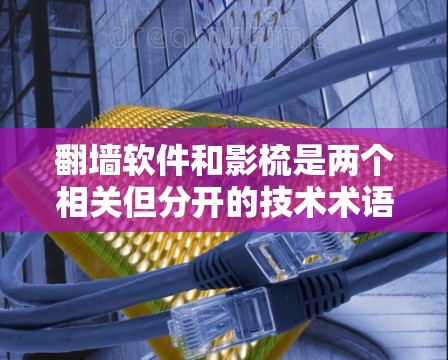 翻墙软件和影梳是两个相关但分开的技术术语,它们在不同的领域中具有不同的用途。以下是对这两个术语的详细解释和结合应用 翻墙软件和影梳是两个相关但分开的技术术语,它们在不同的领域中具有不同的用途。以下是对这两个术语的详细解释和结合应用