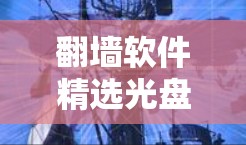 翻墙软件精选光盘,改变通信的未来 翻墙软件精选光盘,改变通信的未来