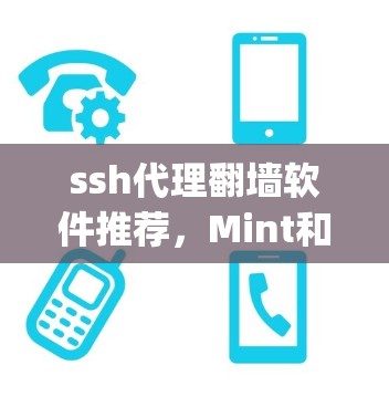 ssh代理翻墙软件推荐,Mint和Netty ssh代理翻墙软件推荐,Mint和Netty