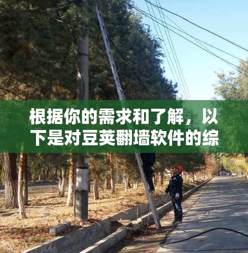 根据你的需求和了解,以下是对豆荚翻墙软件的综合评价 根据你的需求和了解,以下是对豆荚翻墙软件的综合评价