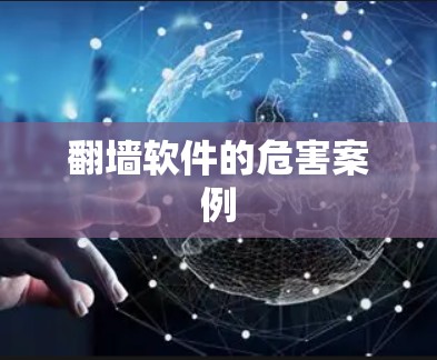 翻墙软件的危害案例