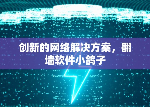 创新的网络解决方案,翻墙软件小鸽子