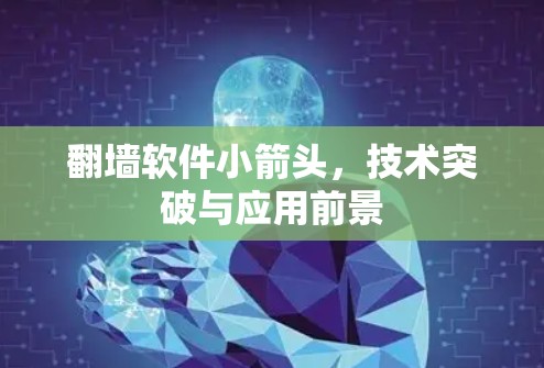 翻墙软件小箭头,技术突破与应用前景 翻墙软件小箭头,技术突破与应用前景