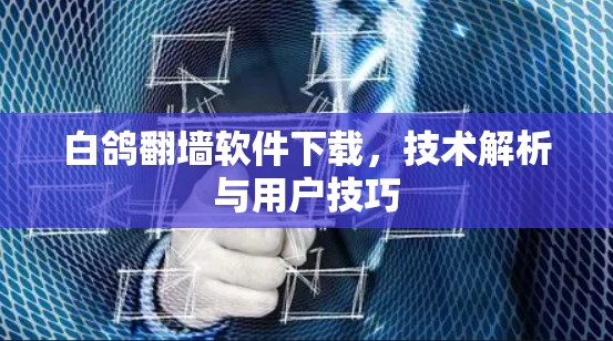 白鸽翻墙软件下载,技术解析与用户技巧 白鸽翻墙软件下载,技术解析与用户技巧