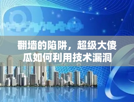 翻墙的陷阱，超级大傻瓜如何利用技术漏洞